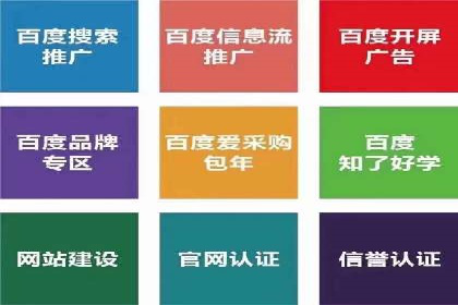 案例分析：SEM推广助力品牌知名度
